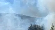 Sındırgı'da orman yangını çıktı