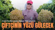 Üzüm fiyatlarındaki düşüşe TMO çözümü