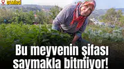 Bu meyvenin şifası saymakla bitmiyor!