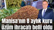Bakın 8 ayda Manisa'da ne kadar kuru üzüm ihracatı yapılmış