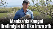 Manisa'da Kangal üretimiyle bir ilke imza attı