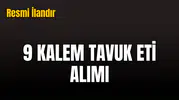 9 KALEM TAVUK ETİ