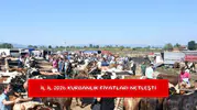 İl il 2026 kurbanlık fiyatları netleşti