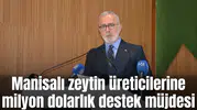 Manisalı zeytin üreticilerine milyonluk destek müjdesi
