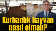 Manisa Veteriner Hekimleri Odası’ndan kurbanlık hayvan uyarısı