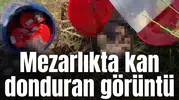 Mezarlıkta kan donduran görüntü: Varilin içinden 21 tane cenin çıktı