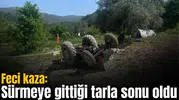 Feci kaza: Sürmeye gittiği tarla sonu oldu