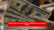 Türkiye'de en çok döviz biriktiren iller belli oldu