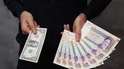 Komşunun parası dolar karşısında dibi gördü