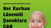 LÖSEV VEKALETEN KURBAN KAMPANYASI BAŞLATTI