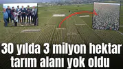30 yılda 3 milyon tarım alanı yok oldu