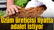 Üzüm üreticisi fiyatta adalet istiyor
