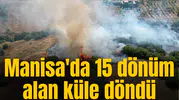 Manisa'da 15 dönüm alan küle döndü