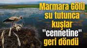 Marmara Gölü su tutunca kuşlar "cennetine" geri döndü