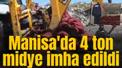 Manisa'da 4 ton midye imha edildi
