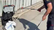 Ağaçtan bebek arabasına yılan düştü