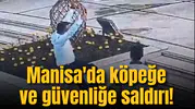 Manisa'da köpeğe ve güvenliğe saldırı!
