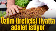 Üzüm üreticisi fiyatta adalet istiyor