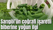 Sarıgöl'ün coğrafi işaretli biberine yoğun ilgi