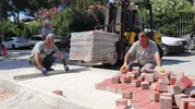 Atıl Haldeki Çamlık Alan Otoparka Dönüşüyor