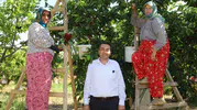 Başkan Cıllı kiraz üreticileriyle bir araya geldi