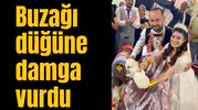 Buzağı düğüne damga vurdu