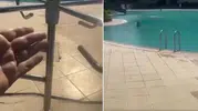 Tesettürlü diye havuza almamışlardı! Yönetici hakkında yakalama emri çıkarıldı