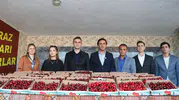 Manisa'nın en iyi kirazı seçildi