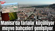Manisa’da tarlalar küçülüyor meyve bahçeleri genişliyor