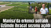 Manisa'da erkenci sofralık üzümde ihracat sezonu açıldı