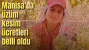 Manisa'da üzüm kesim ücretleri belli oldu