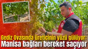 Gediz Ovasında üreticinin yüzü gülüyor: Manisa bağları bereket saçıyor