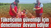 Tüketicinin güvenliği için denetimler devam ediyor