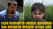 Leyla Aydemir'in cinayet davasında kan donduran detaylar ortaya çıktı