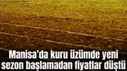 Kuru üzümde yeni sezon başlamadan fiyatlar düştü