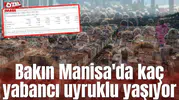 Bakın Manisa'da kaç yabancı uyruklu yaşıyor