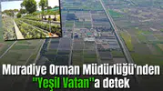 Muradiye Orman Müdürlüğü'nden "Yeşil Vatan"a detek