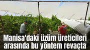 Manisa'daki üzüm üreticileri arasında bu yöntem revaçta