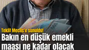 Teklif Meclis'e sunuldu! Bakın en düşük emekli maaşı ne kadar olacak