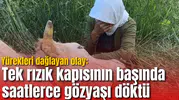 Yürekleri dağlayan olay: Tek rızık kapısının başında saatlerce gözyaşı döktü