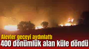 Alevler geceyi aydınlattı! 400 dönümlük alan küle döndü