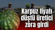 KARPUZ FİYATI DÜŞTÜ ÜRETİCİ ZORA GİRDİ