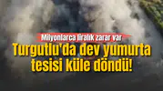 Turgutlu'da dev yumurta tesisi küle döndü! Milyonlarca liralık zarar var