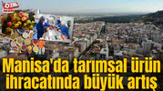 Manisa'da tarımsal ürün ihracatında büyük artış