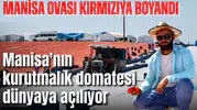 Manisa Ovası kırmızıya boyandı