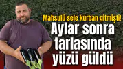 Mahsulü sele kurban gitmişti! Aylar sonra tarlasında yüzü güldü