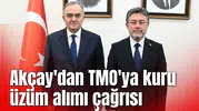 Akçay'dan TMO'ya kuru üzüm alımı çağrısı