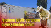 Arıcıların büyük sorununa büyükşehirden çözüm