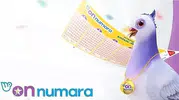 10 Ağustos On Numara sonuçları açıklandı! İşte kazandıran 22 numara