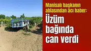 Manisalı başkanın ablasından acı haber: Üzüm bağında can verdi